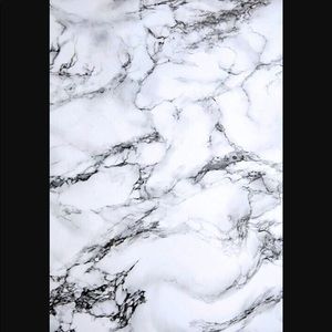 Meet your Posher, Bella